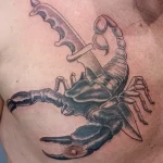 Recouvrement d'un tatouage
